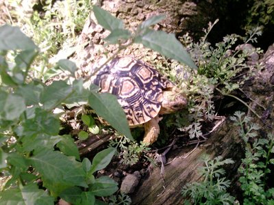 2012年3月活動 (17)