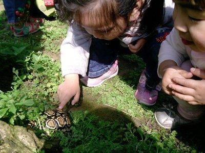 2012年3月活動 (23)