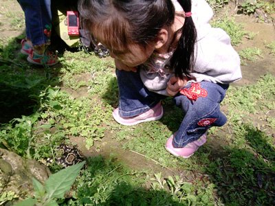 2012年3月活動 (24)