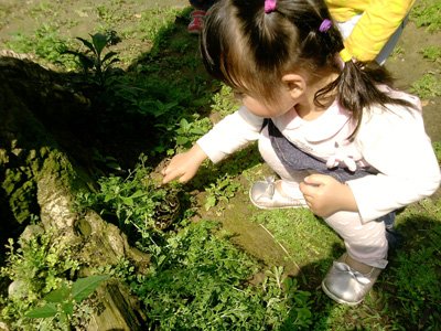 2012年3月活動 (29)