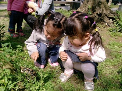 2012年3月活動 (30)