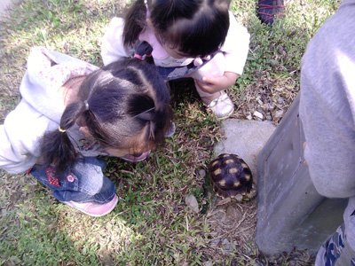 2012年3月活動 (45)