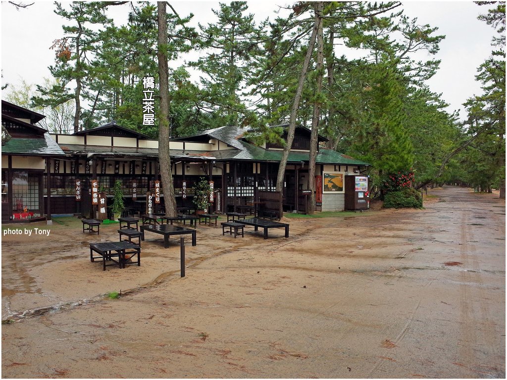 天橋立15.jpg