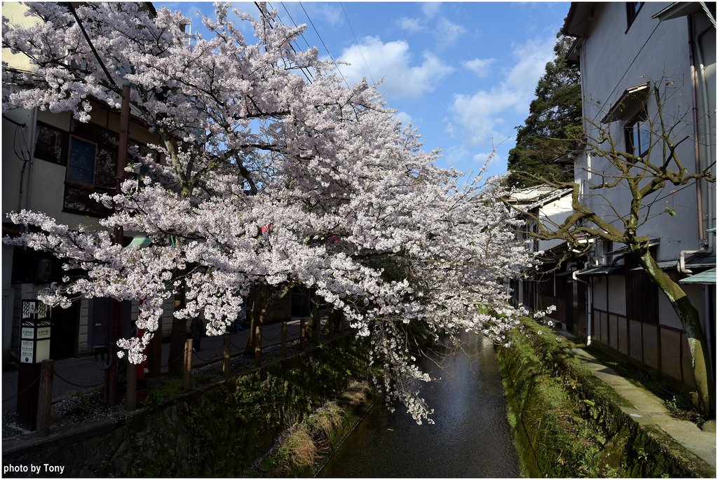 溫泉寺12.jpg