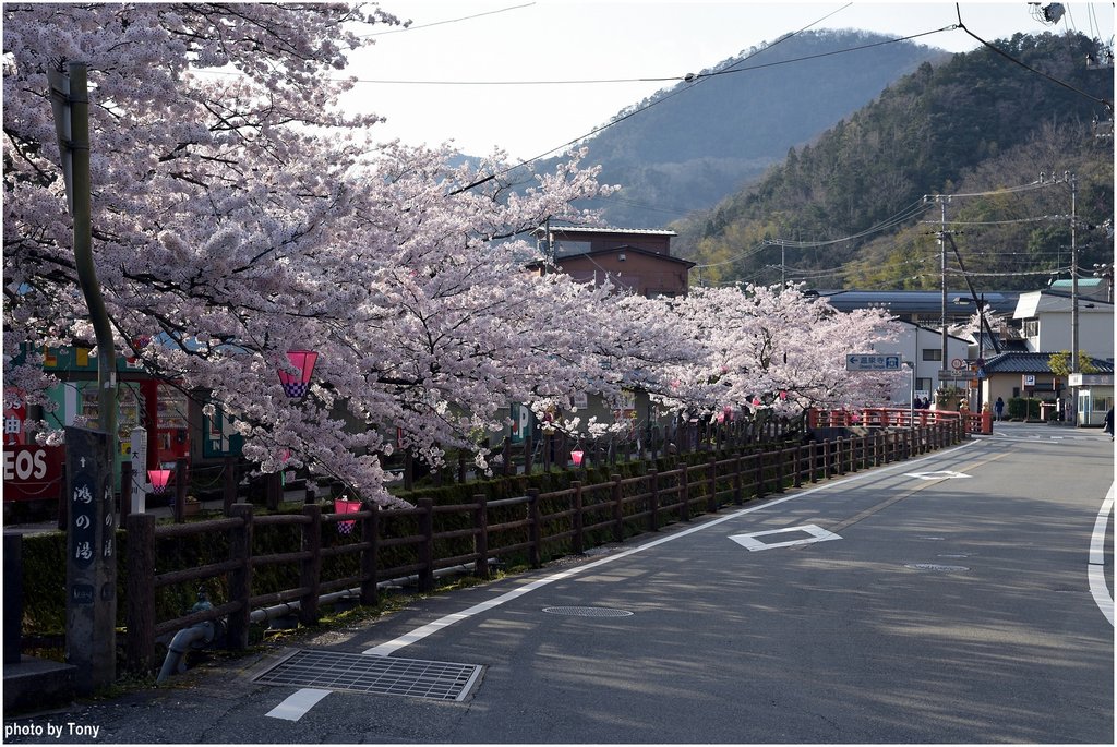 溫泉寺17.jpg