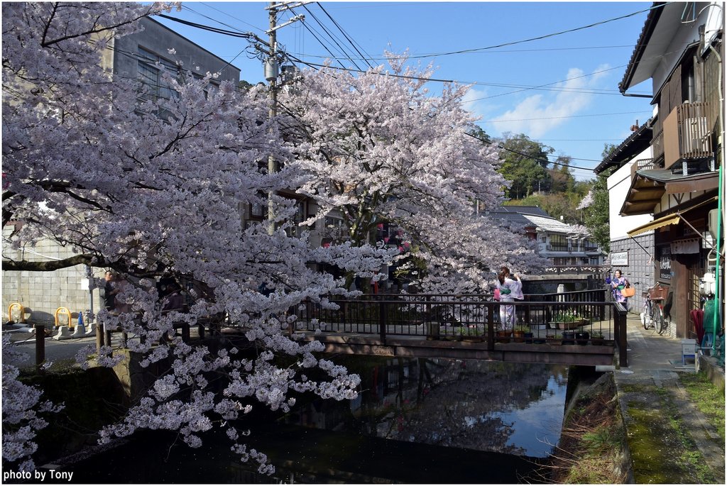 溫泉寺36.jpg