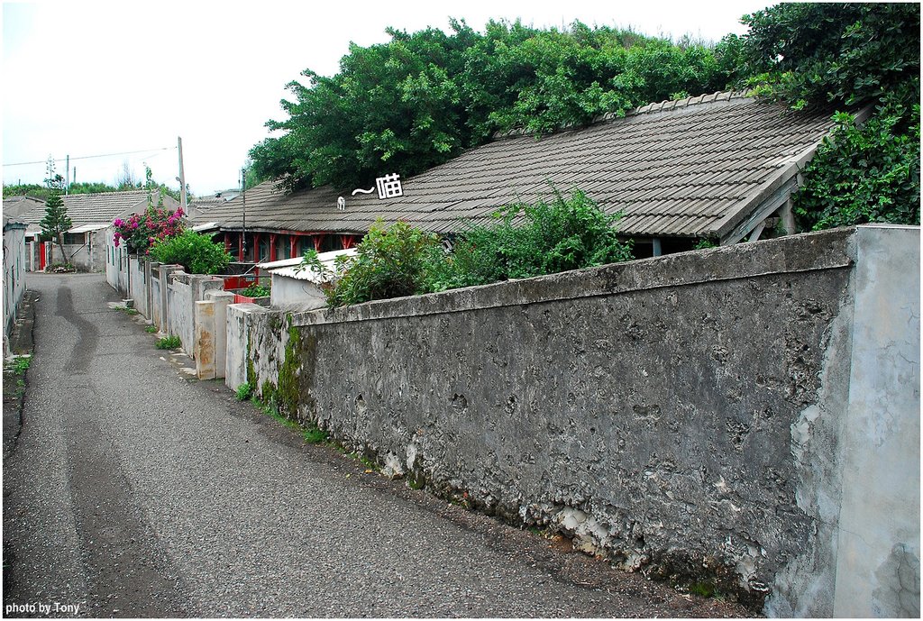 眷村8.jpg