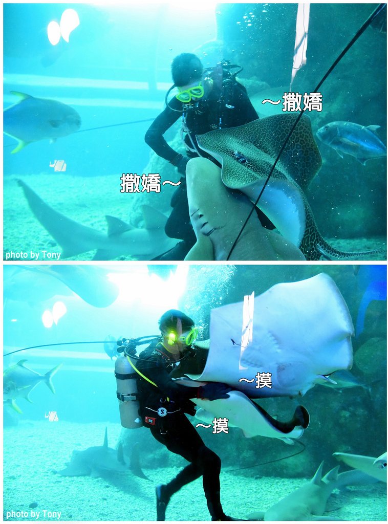 水族館28.jpg