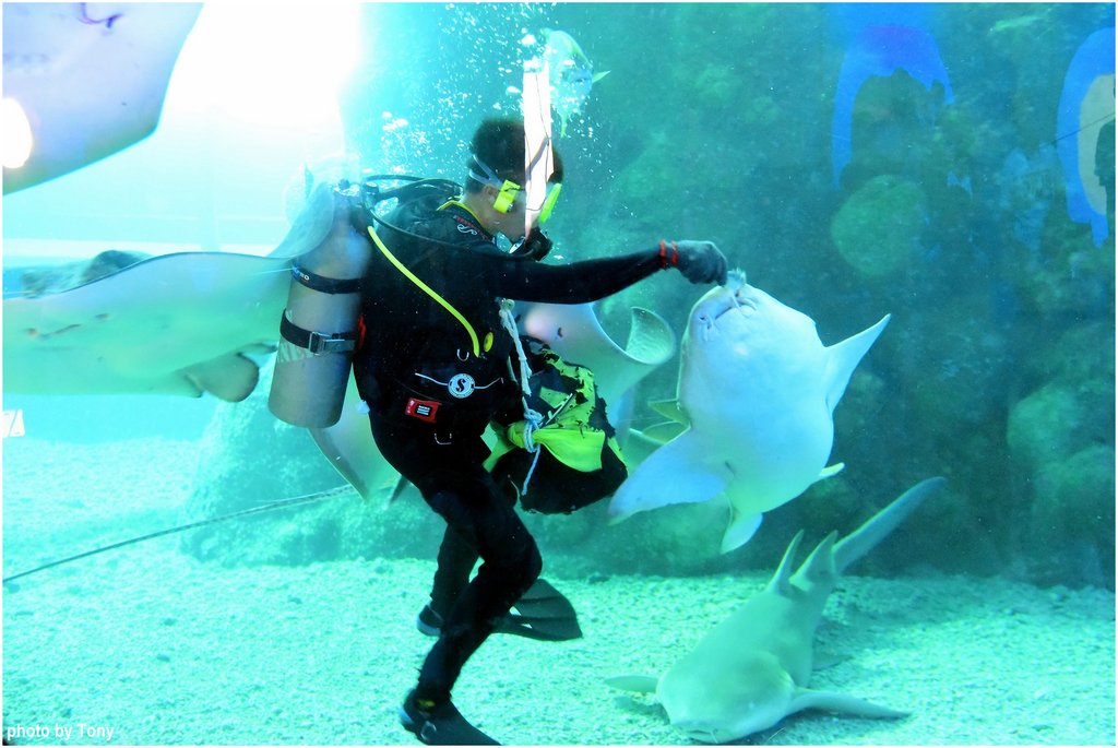 水族館29.jpg