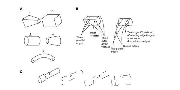 Biederman-1995-Fig-12