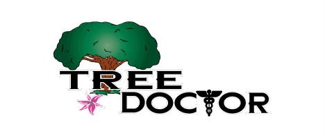 bad-logos-tree-doctor.jpg