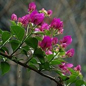 DSC01710.JPG