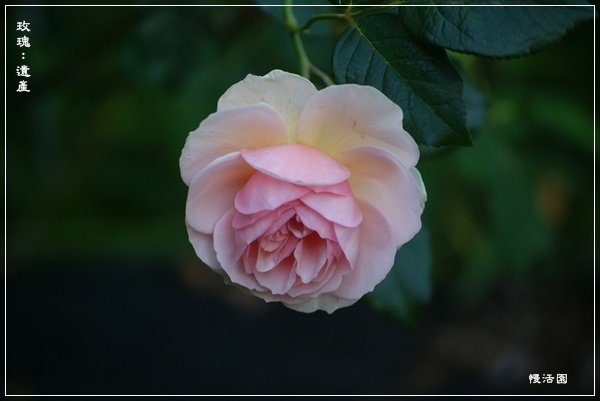 DSC00002.JPG