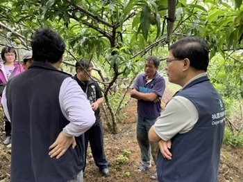 農業局會同相關單位確認復興水蜜桃結果不良情況 從優從寬從速報請補助1.jpg