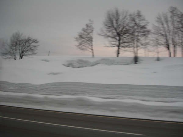 DSC02695.JPG