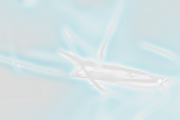 light_texture_3.png