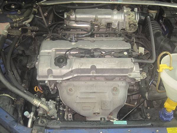 IMG_9753.JPG