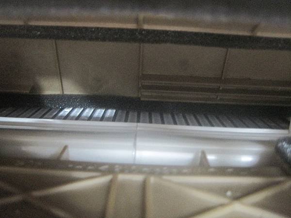 IMG_9770.JPG