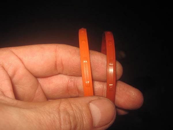 IMG_9787.JPG