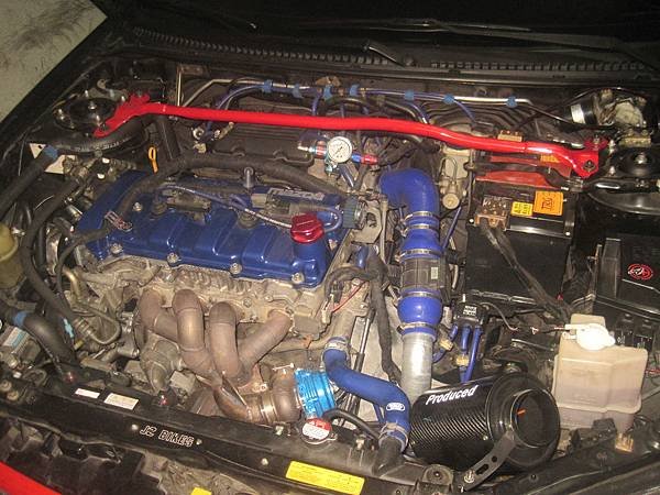 IMG_9877.JPG