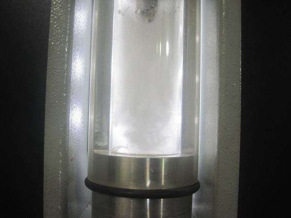IMG_9923.JPG
