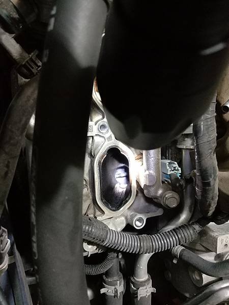WRX 核桃砂清理積碳