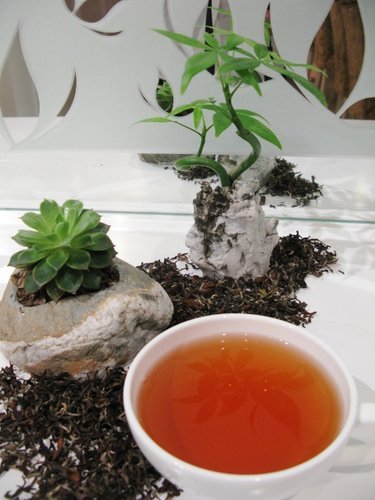 小壼泡, 細膩品味紅茶