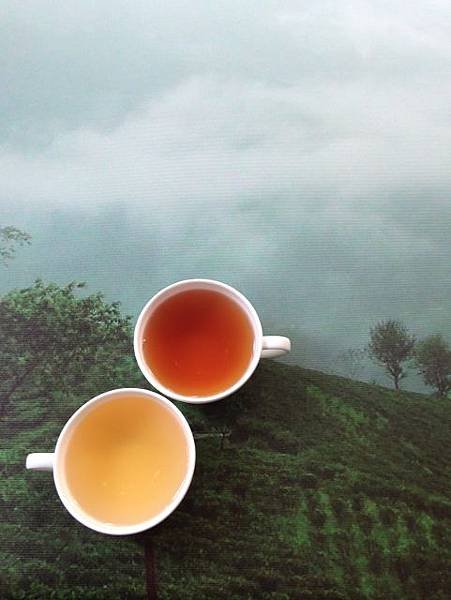 品茶境，喜瑪拉雅傳奇