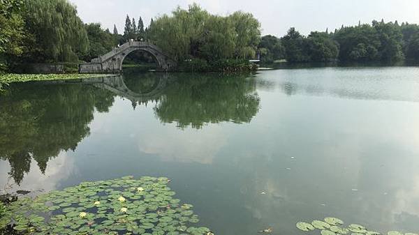 到中國推廣大吉嶺莊園紅茶