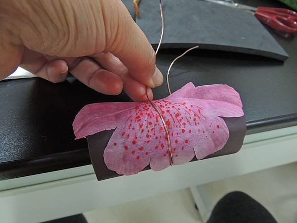 DSCN6298.JPG