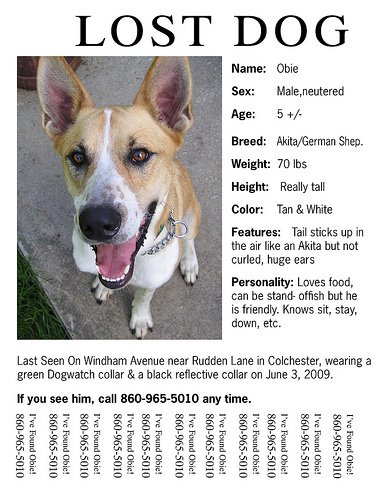 obie lost dog flier.jpg