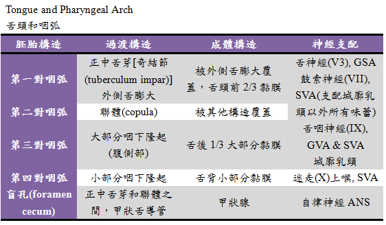 pharyngeal arch