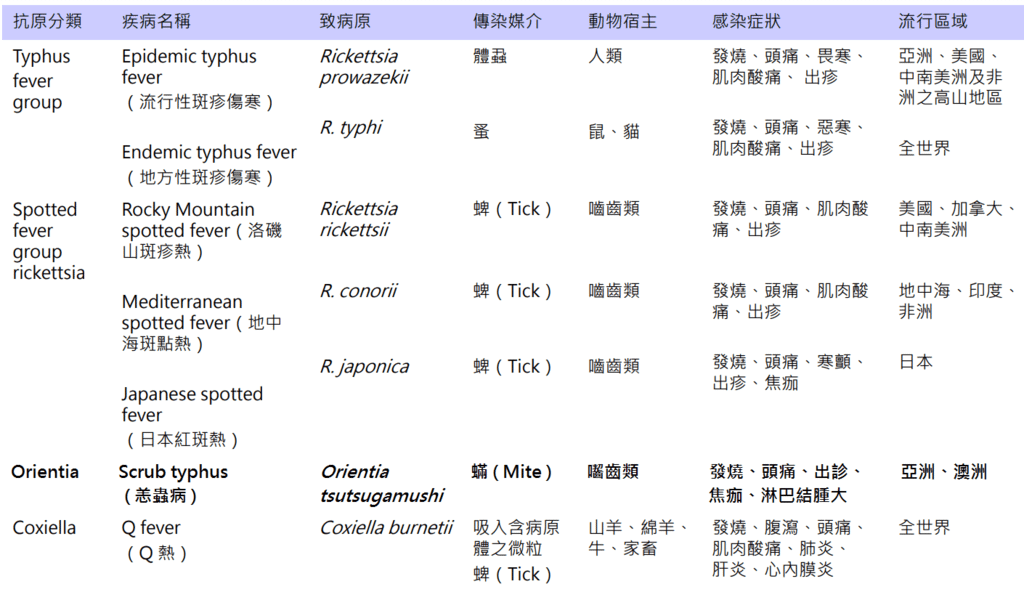 rickettsia_disease.PNG