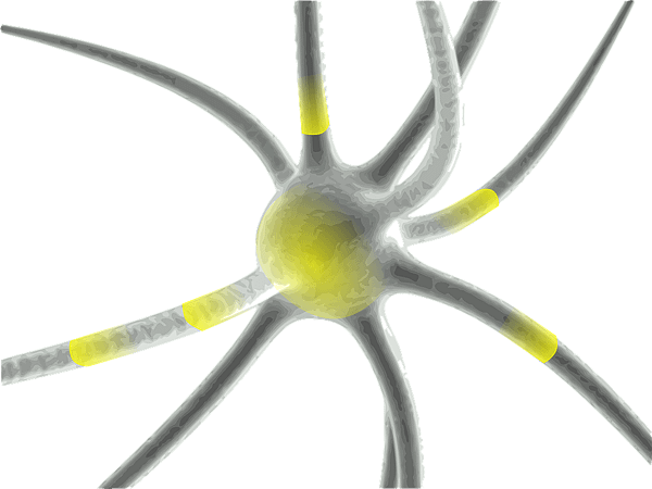 neuron-160944_960_720.png