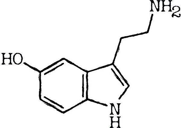 seratonin-3304364_640.jpg