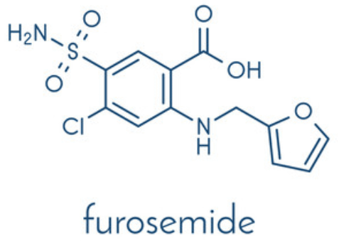 furosemide_structure.PNG