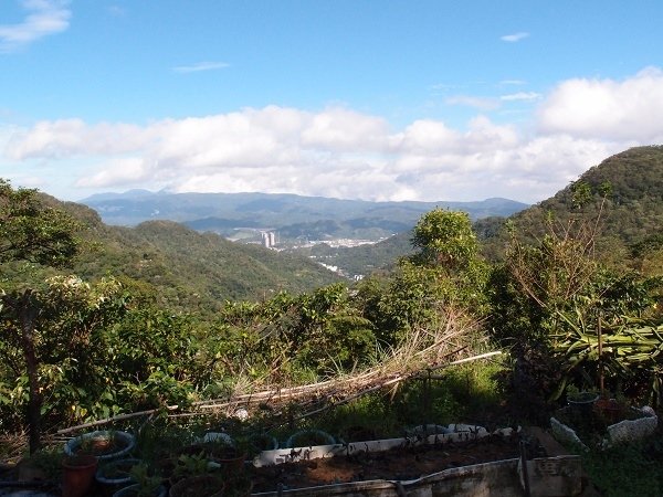PA032463.jpg