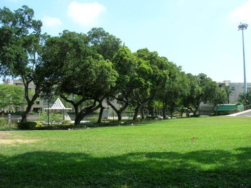 rDSCN6786.JPG