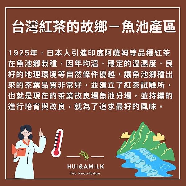 日月潭紅茶是什麼茶？