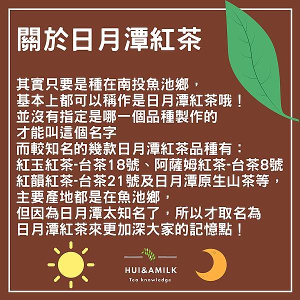 日月潭紅茶是什麼茶？