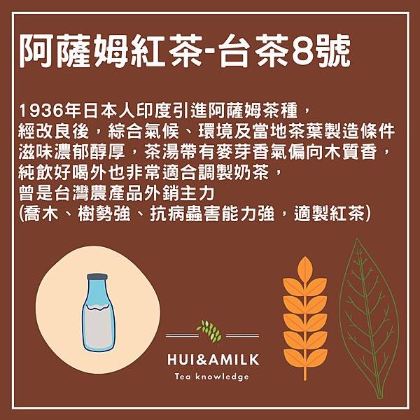 日月潭紅茶是什麼茶？