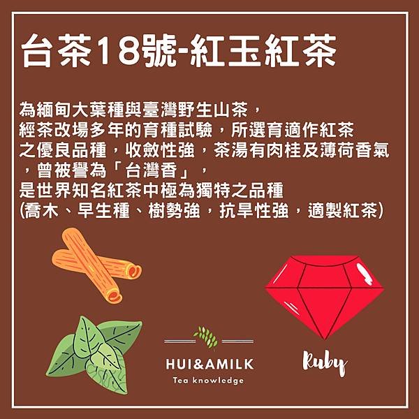 日月潭紅茶是什麼茶？