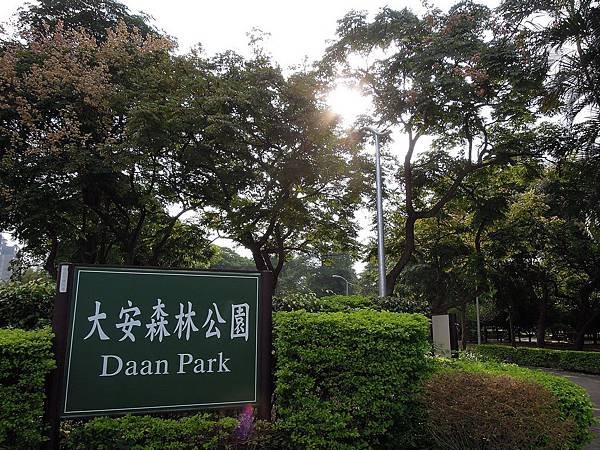 DSCN4462.JPG
