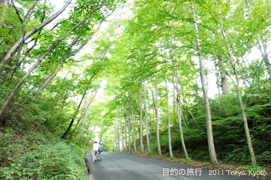 DSC00217.JPG