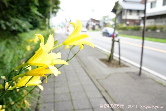 DSC00275.JPG