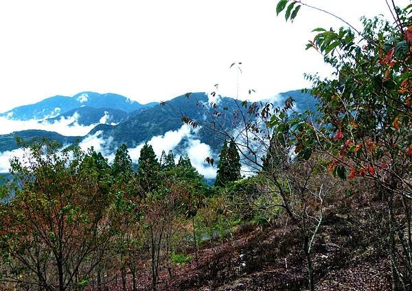 L2350870.jpg