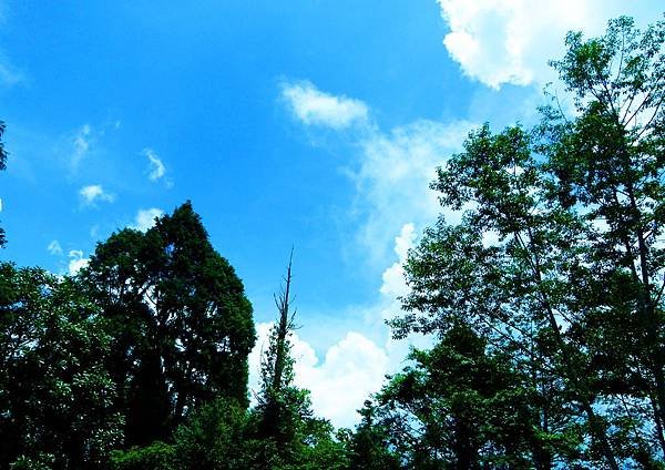 L2770148.jpg