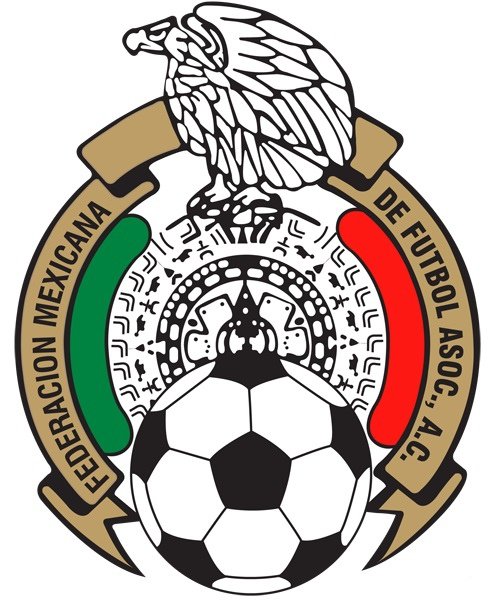 Fedemexfut2009logo