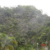 DSC01221.JPG
