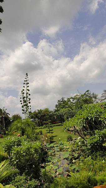 DSC06267.JPG